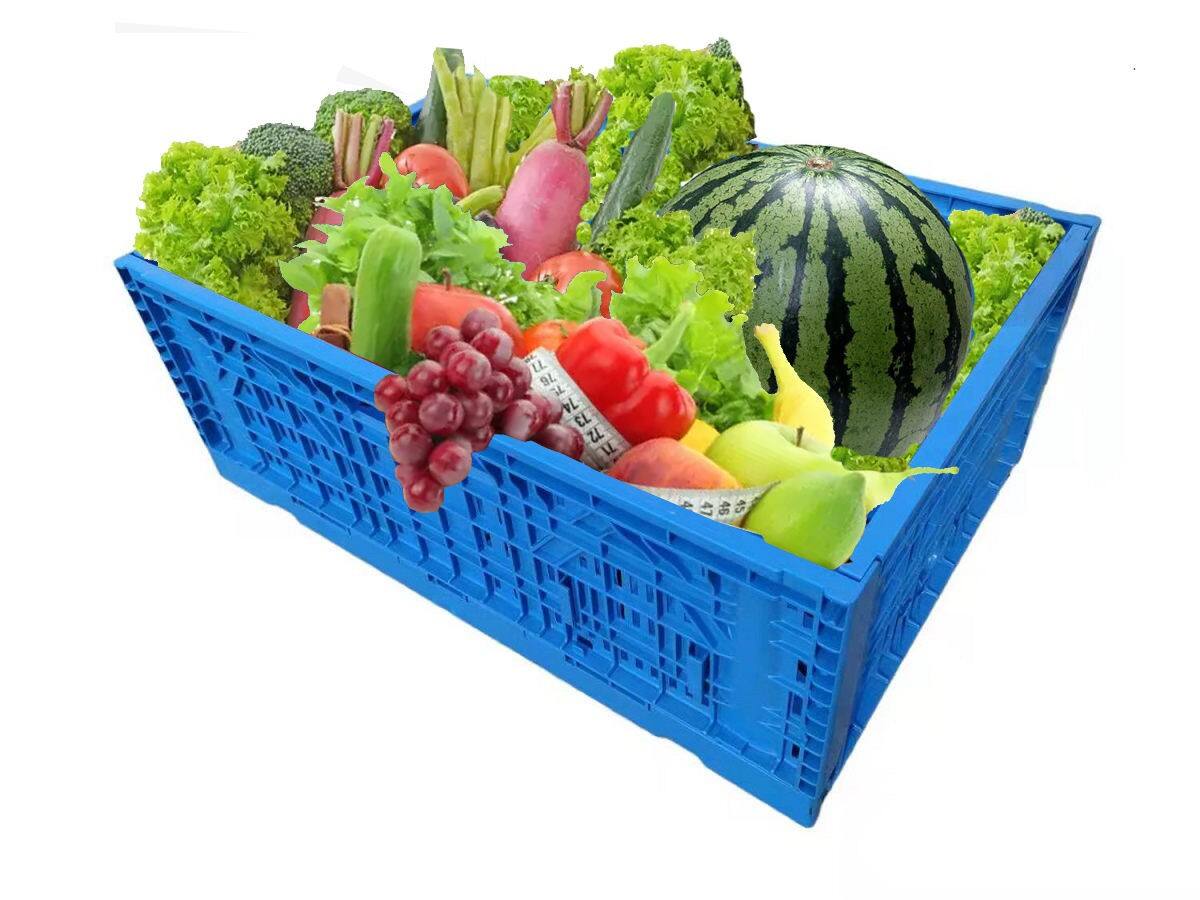 Big Plastic Storage Packaging Mesh Style Harvest Plastic Vegetables Crate Plastic Basket details