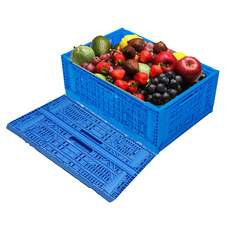 Factory Price Collapsible Plastic Basket Folding Plastic Storage Crates for Cold Fruit and Vegetables details