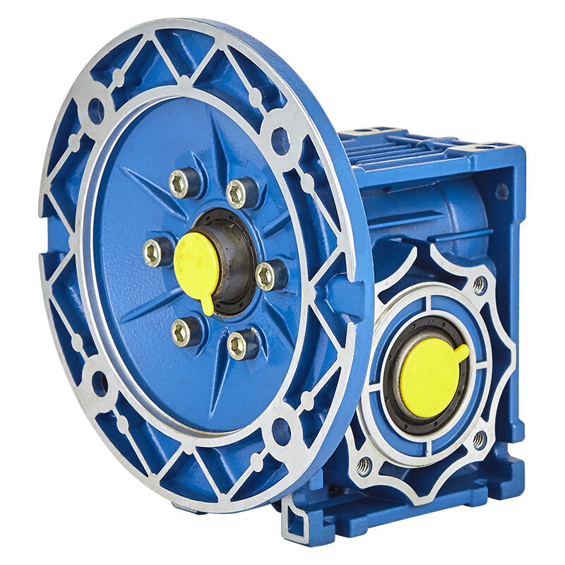 RV040 Worm Reducer With 0.25KW Electric Motor