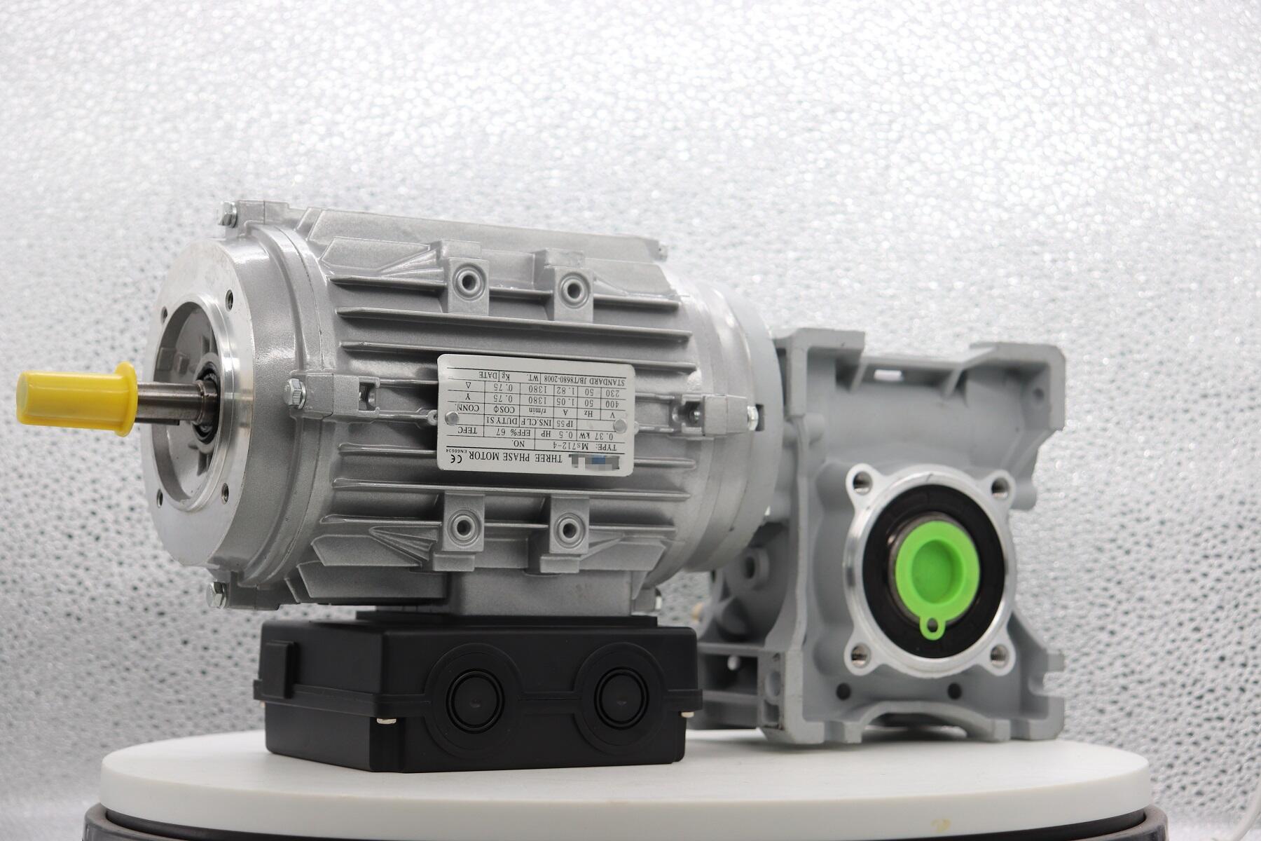 RW050 Worm reducer AC gear motor transmission equipment factory