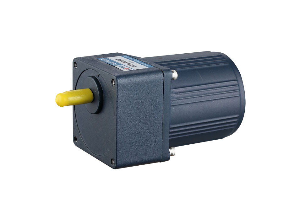 Micro AC gear motor 180W with speed controller manufacture