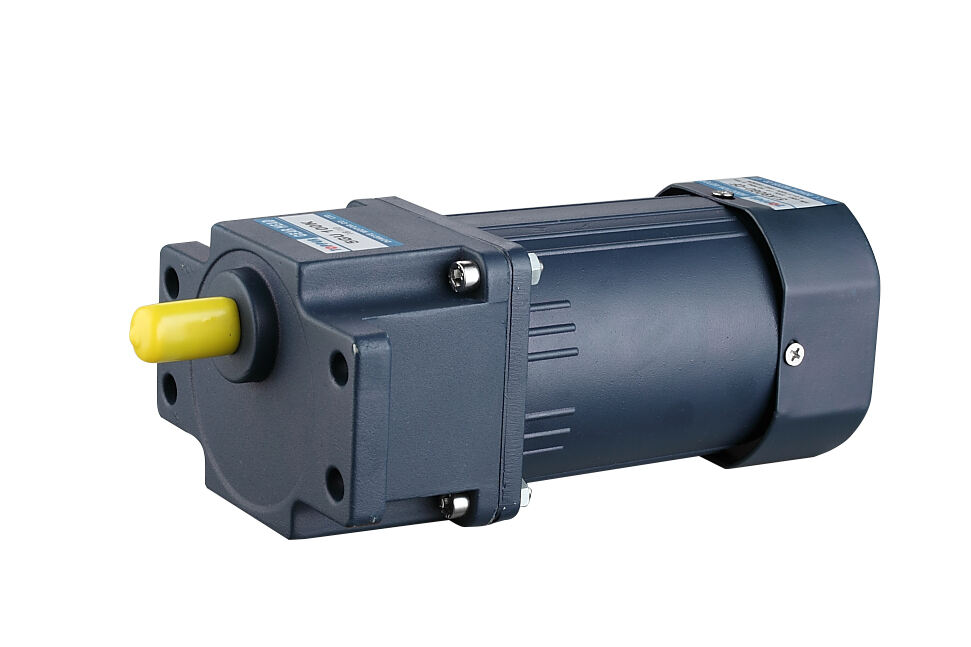 Micro AC gear motor 180W with speed controller supplier