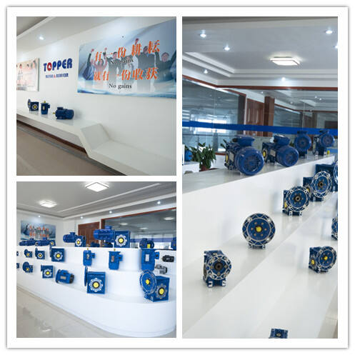 SHOW ROOM