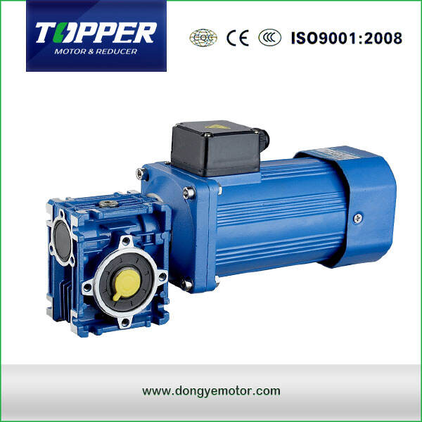 Micro AC gear motor 180W with speed controller