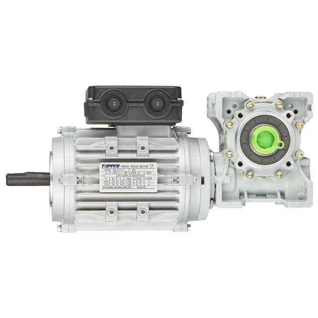 Worm reducer +electric motor