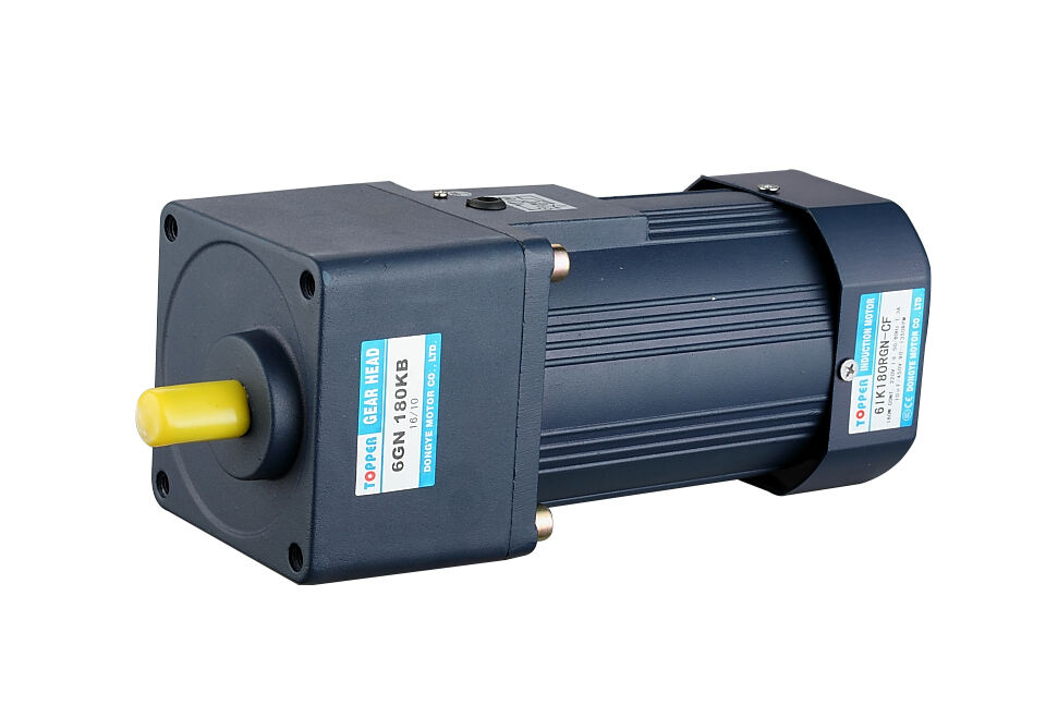 Micro AC gear motor 180W with speed controller details