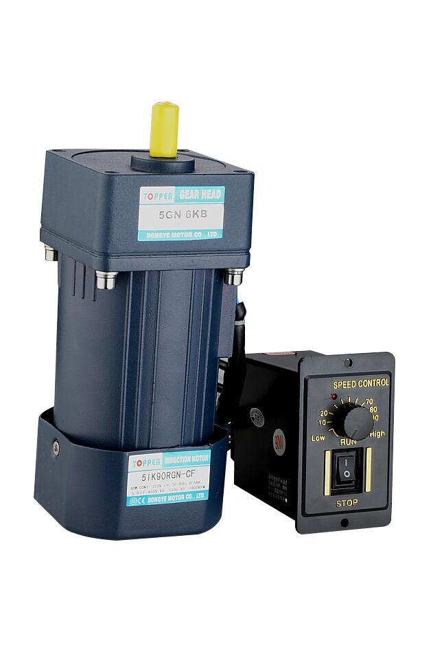 Micro AC gear motor 180W with speed controller manufacture