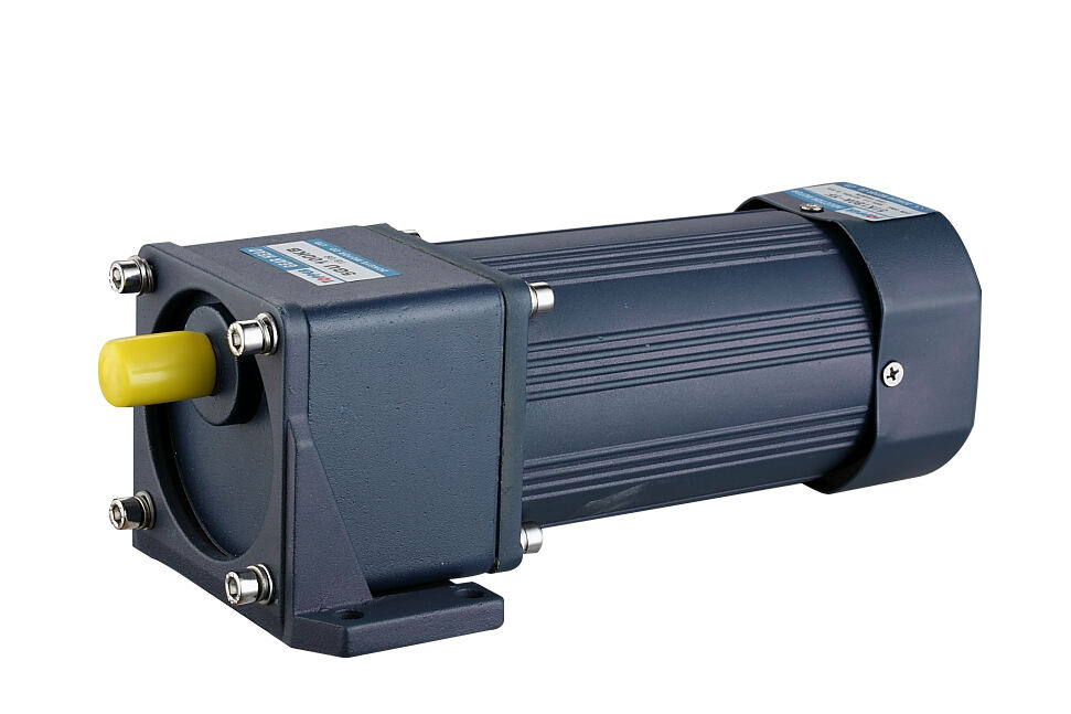 ac single phase gear motor
