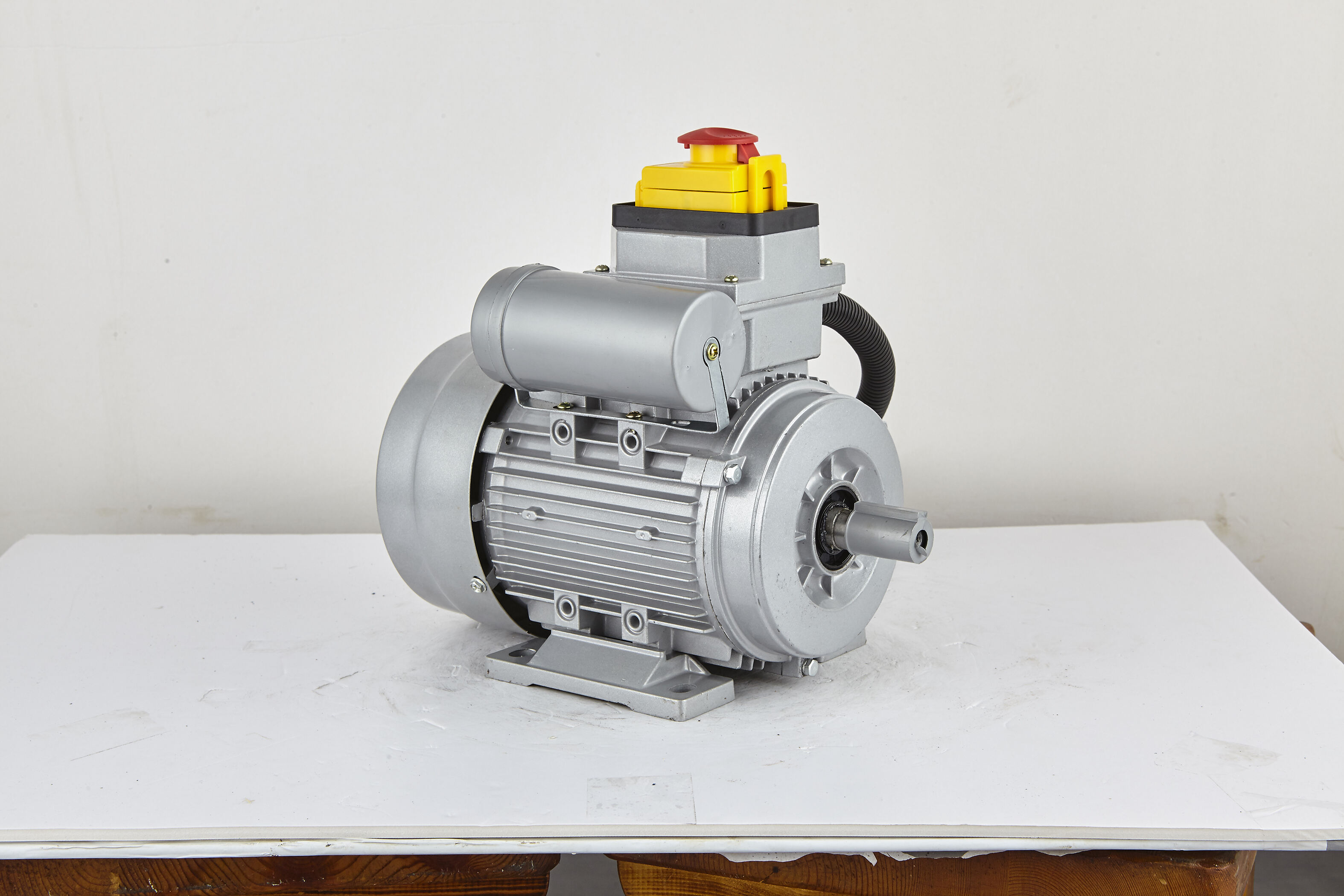 Single phase electric motor