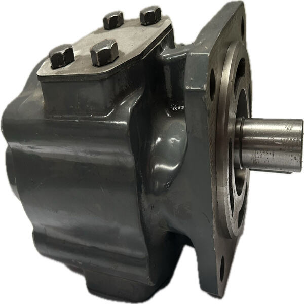 High-performance gear motor pump options for optimal outp