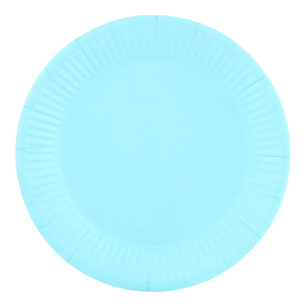 Are rising paper plate prices here to stay?