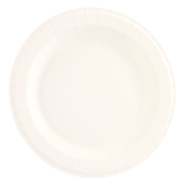 Choose our Recyclable Christmas Paper Plates"