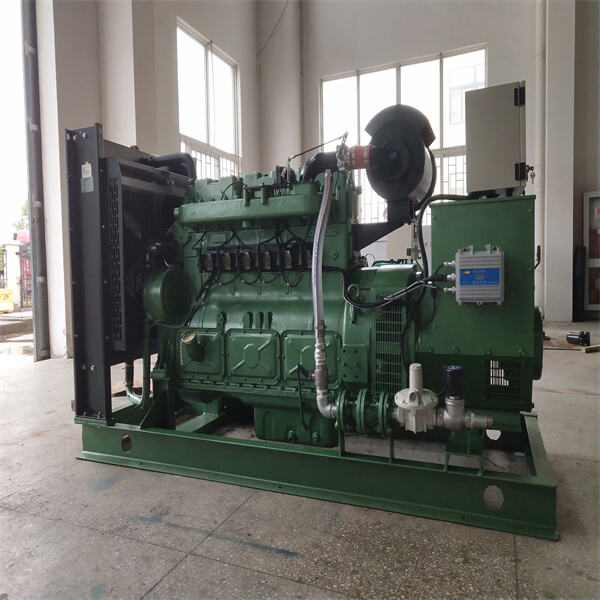 Security of Natural Gas Powered Generator: