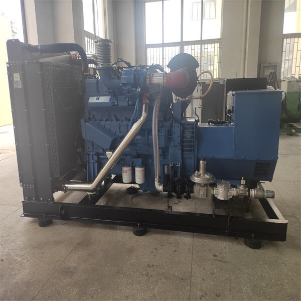 Safety Features of The 800kva Generator: