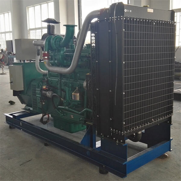 Protection of Biomass Generator: