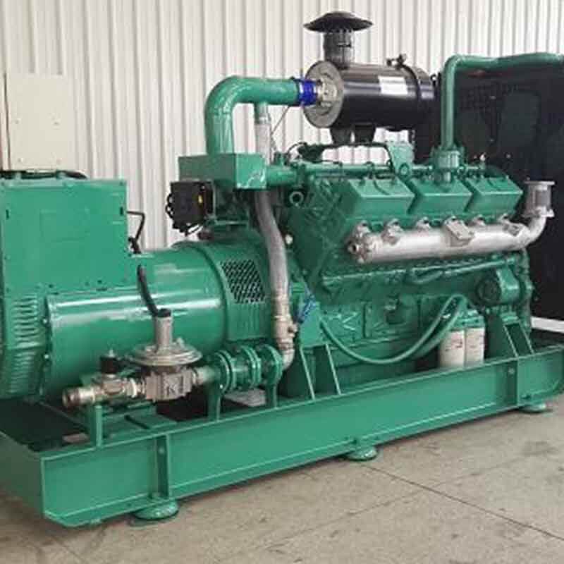 TAIFA--Biogas Generator set