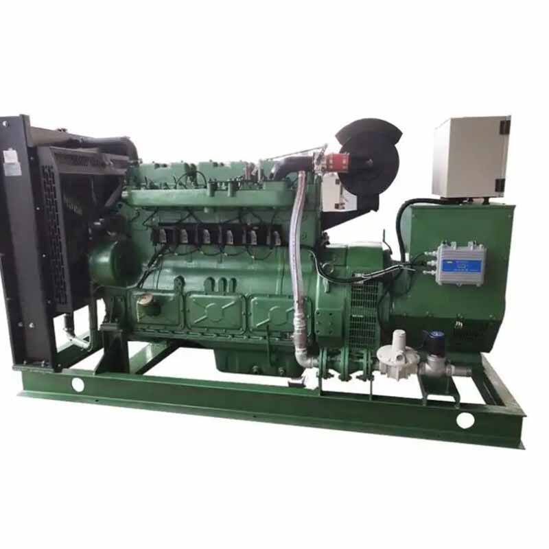 biogas generator set-12