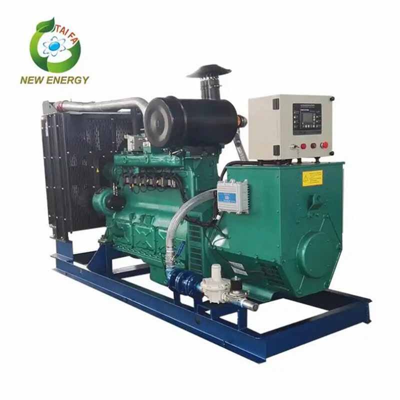 Residential House Use Methane Gas Generator 15 Kw