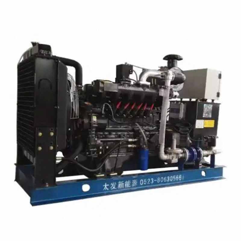 Natural gas generator set-5