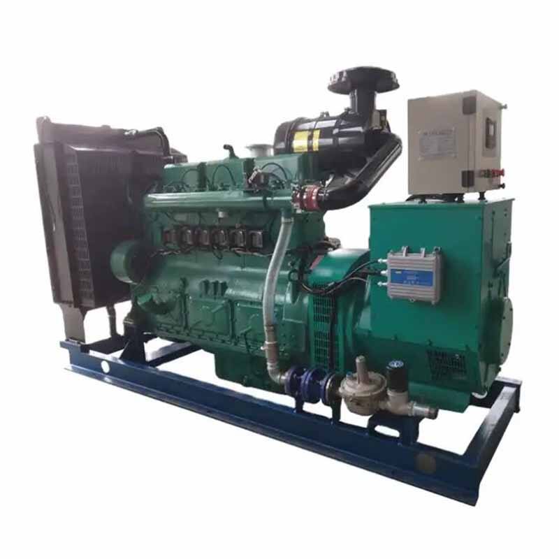 biogas generator set-6