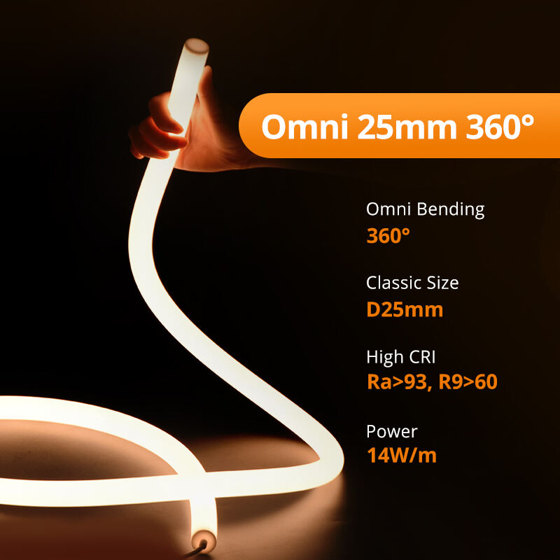 Omni 25mm 360° manufacture