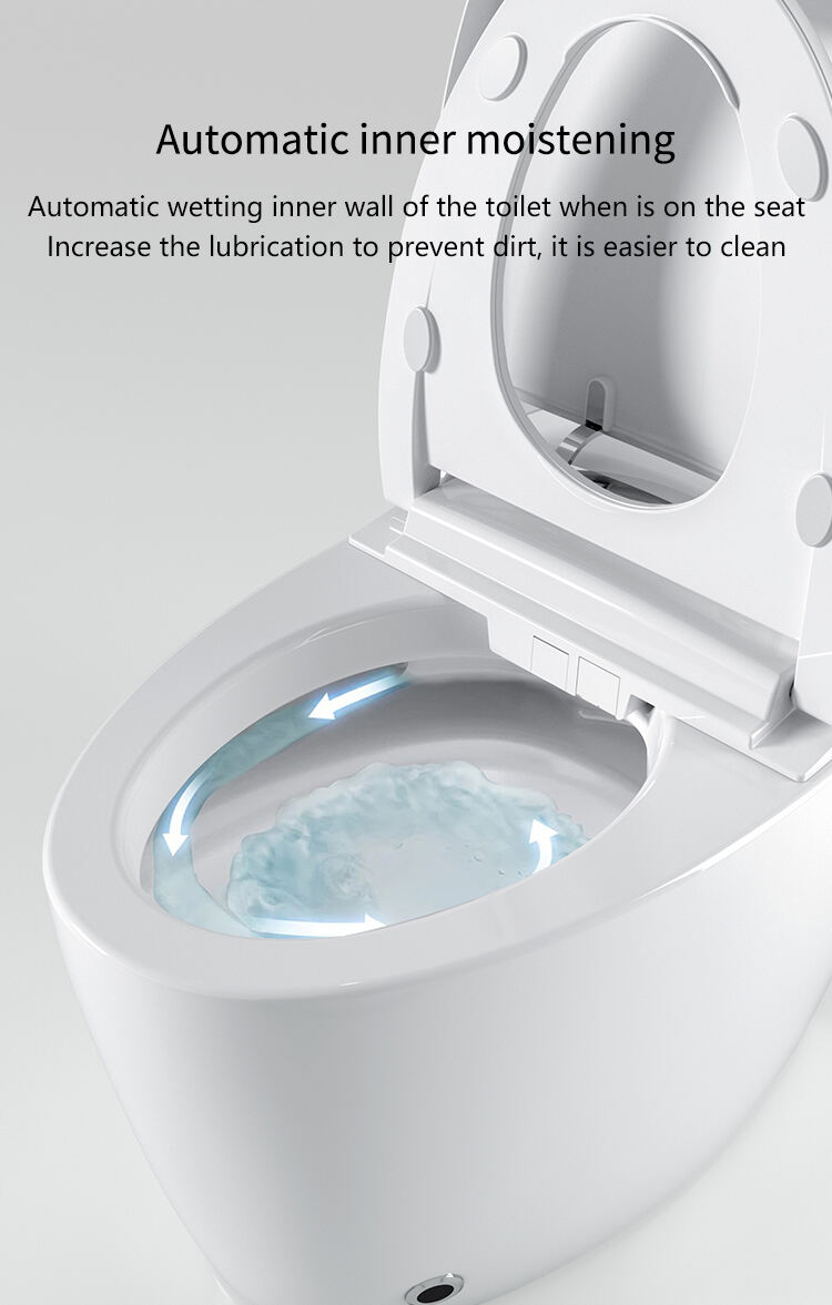 Automatic Ceramic Self Cleaning Bathroom Egg Shape Smart Toilet Intelligent Sanitary Ware Bidet Toilet Bowl details