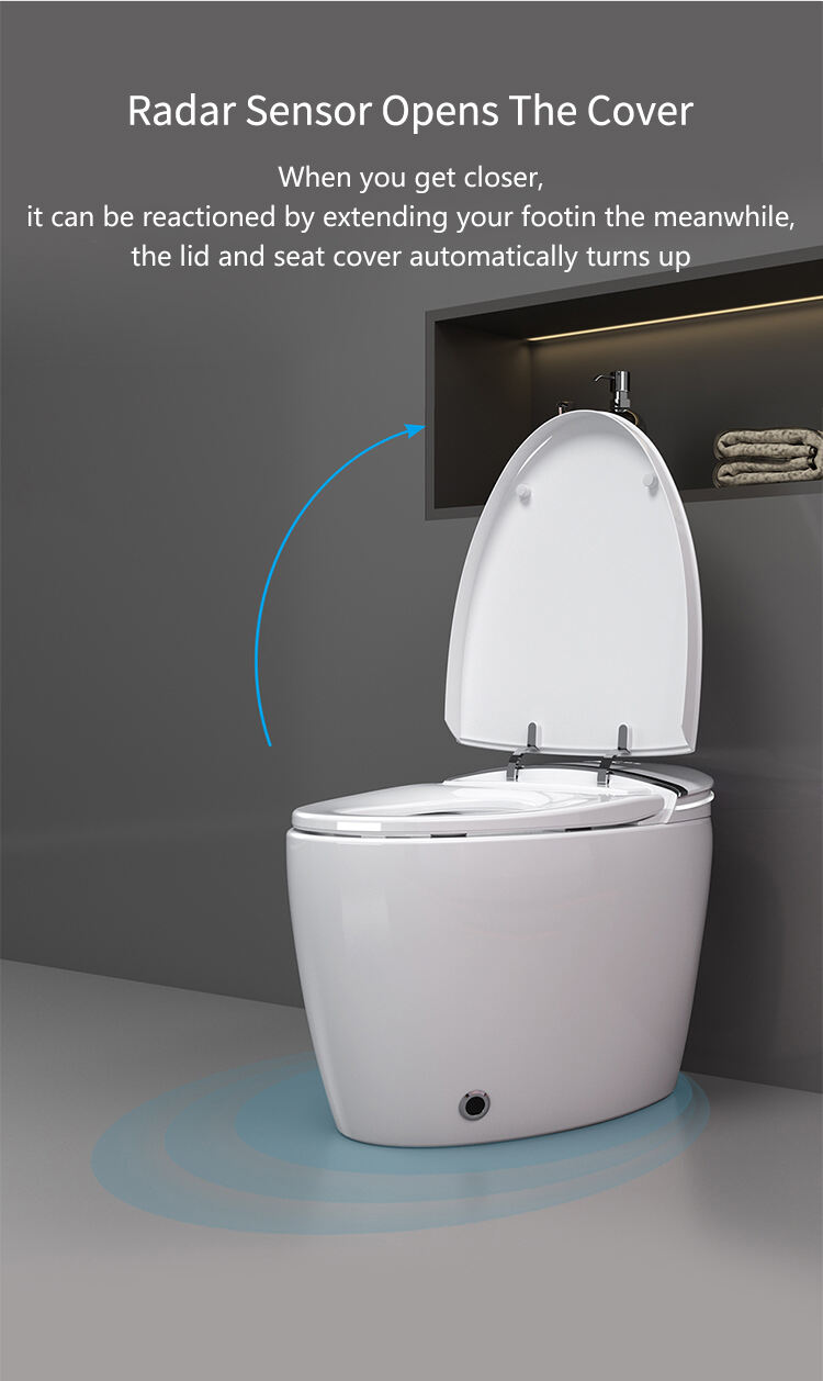 Automatic Ceramic Self Cleaning Bathroom Egg Shape Smart Toilet Intelligent Sanitary Ware Bidet Toilet Bowl details