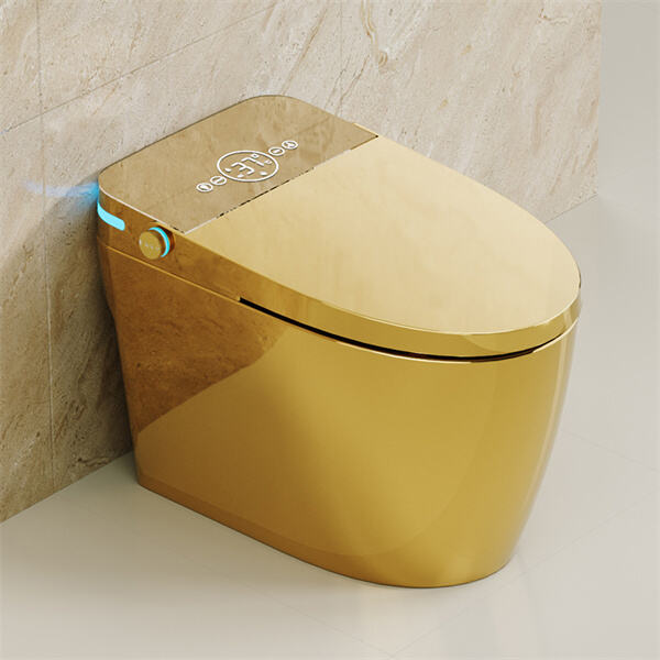 Say goodbye to traditional commodes - upgrade to smart commodes.