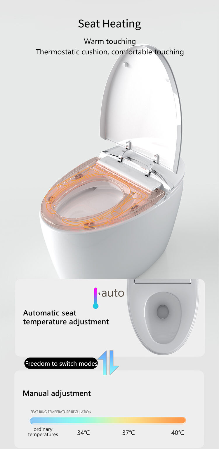 Automatic Ceramic Self Cleaning Bathroom Egg Shape Smart Toilet Intelligent Sanitary Ware Bidet Toilet Bowl supplier