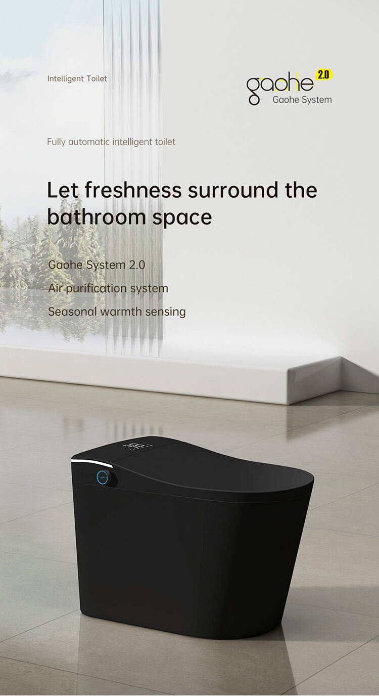 High Quality Bathroom Warm Heating Ceramic Automatic Wc Electronic Control Intelligent Toilet Black Smart Toilet details