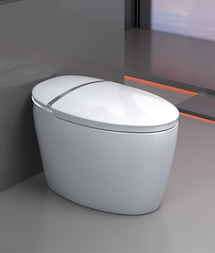 Automatic Ceramic Self Cleaning Bathroom Egg Shape Smart Toilet Intelligent Sanitary Ware Bidet Toilet Bowl details