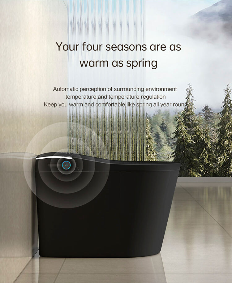 High Quality Bathroom Warm Heating Ceramic Automatic Wc Electronic Control Intelligent Toilet Black Smart Toilet supplier