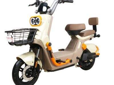 Zuboo Electric Mopeds: Redefining Commuter Efficiency