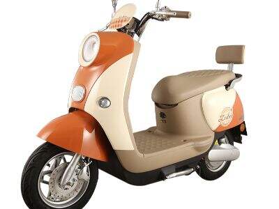 El creixement del mercat de bicicletes elèctriques d'estil ciclomotor a nivell mundial