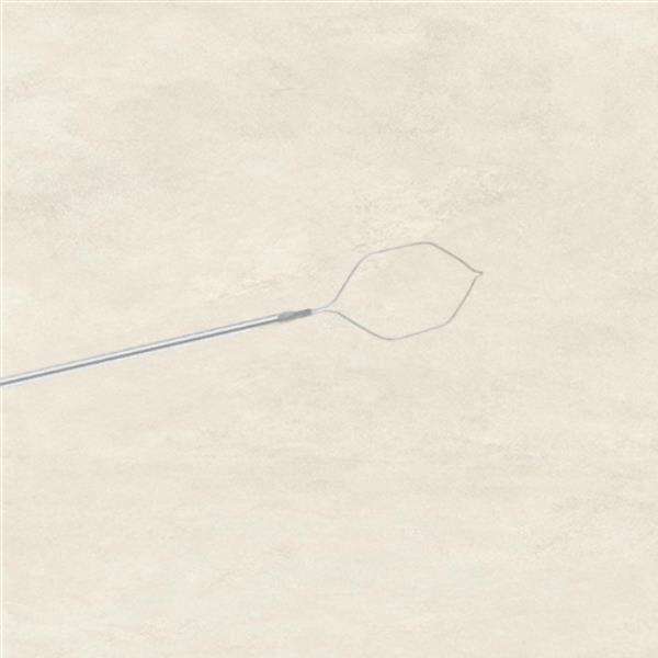 Advancements in Cytology Brush Technology for Endoscopic Procedures