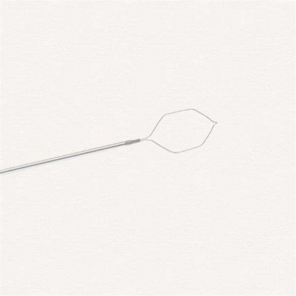 Exploring the Benefits of Cytology Brush Endoscopy in the Diagnosis of Respiratory Tract Pathologies.