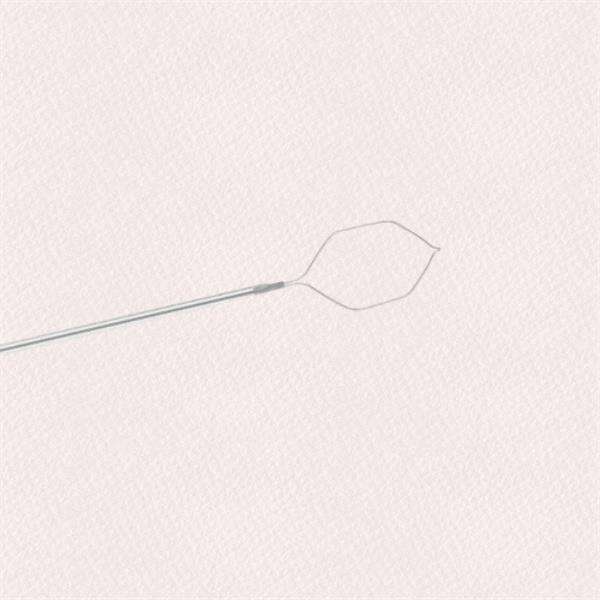 Featuring Budget-Friendly Options