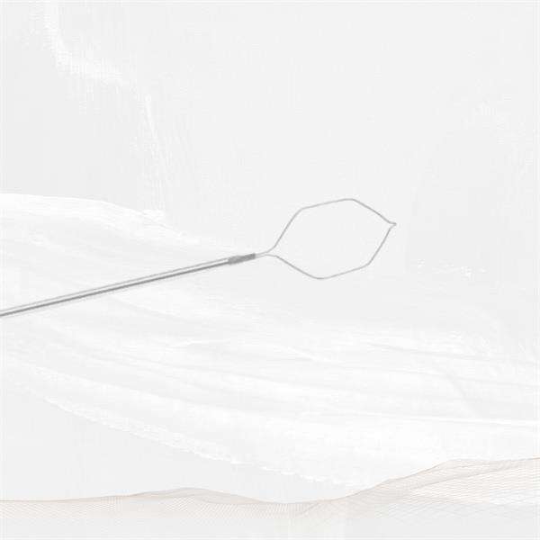 A New Frontier in Endoscopic Imaging