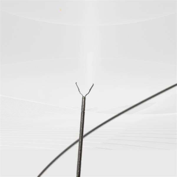 歯科医が承認し、患者が選ぶ