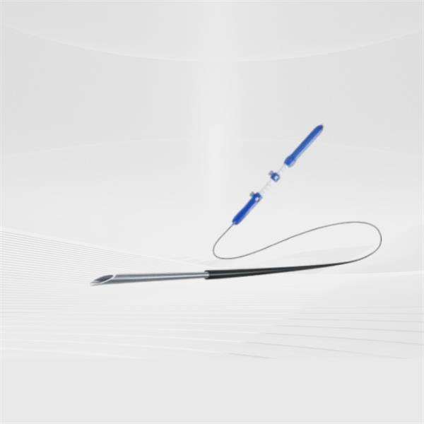 Neuere Fortschritte in der EBUS TBNA Nadeltechnologie und zukünftige Anwendungen