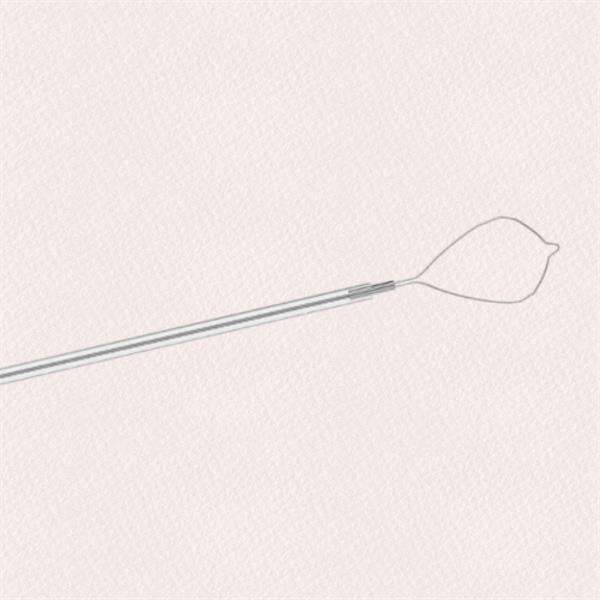 Compatible with multiple sample preservation methods for downstream analysis.