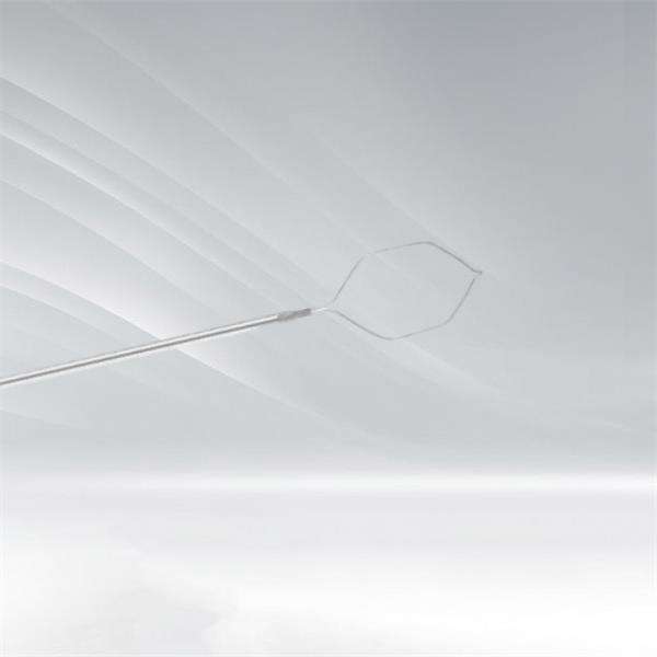 The Importance of Cytology Brushes in Healthcare and How to Find Them at a Reasonable Price