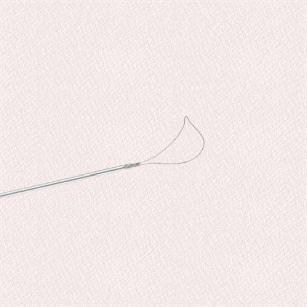 Optimizing Endoscopic Retrograde Cholangiopancreatography with ERCP Cytology Brush