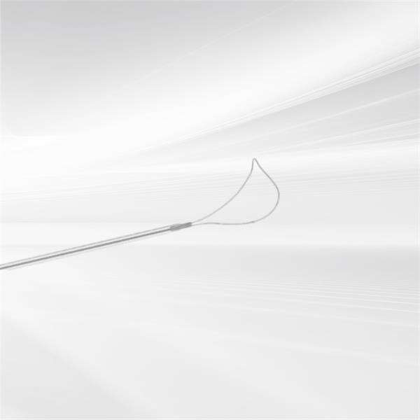 A Must-Have Tool for Endoscopic Diagnosis in Gastroenterology