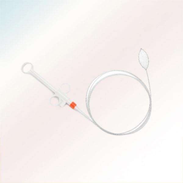 Endoscopic Innovations