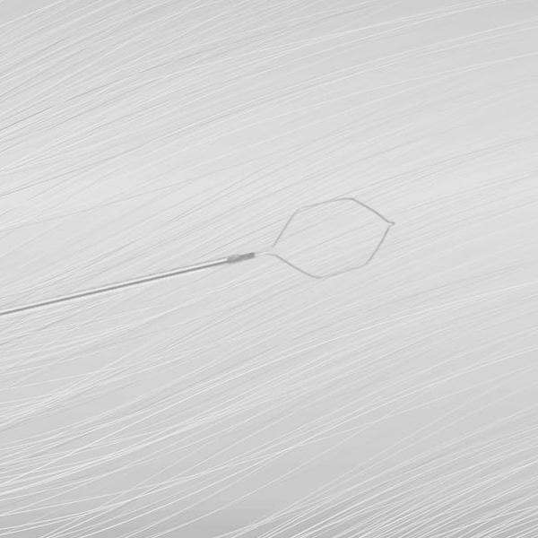 The Importance of Using a Sterile Disposable Cytology Brush for Accurate Results