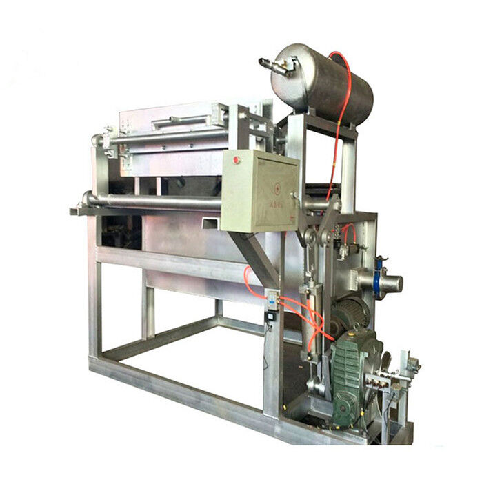 Customizable Egg Tray Production Machinery to Fit Your Business Needs