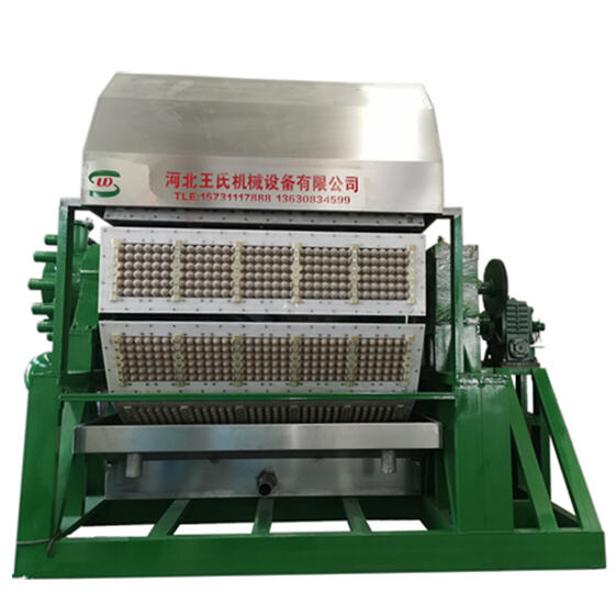 Innovative technology for egg tray packaging and handling