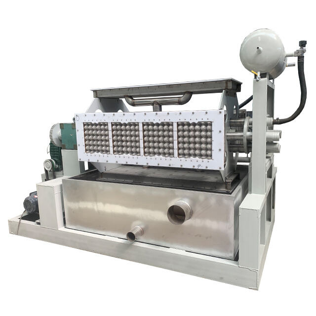 Sustainable and Cost-Effective Egg Tray Manufacturing Solution