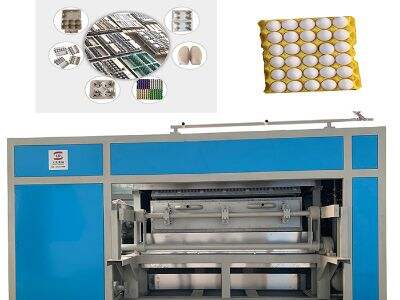 How to Increase Productivity with Egg Tray Production Machines